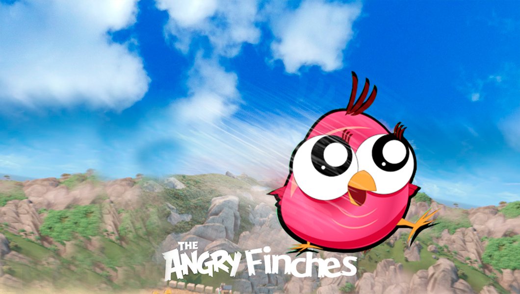 The ​Angry Finches